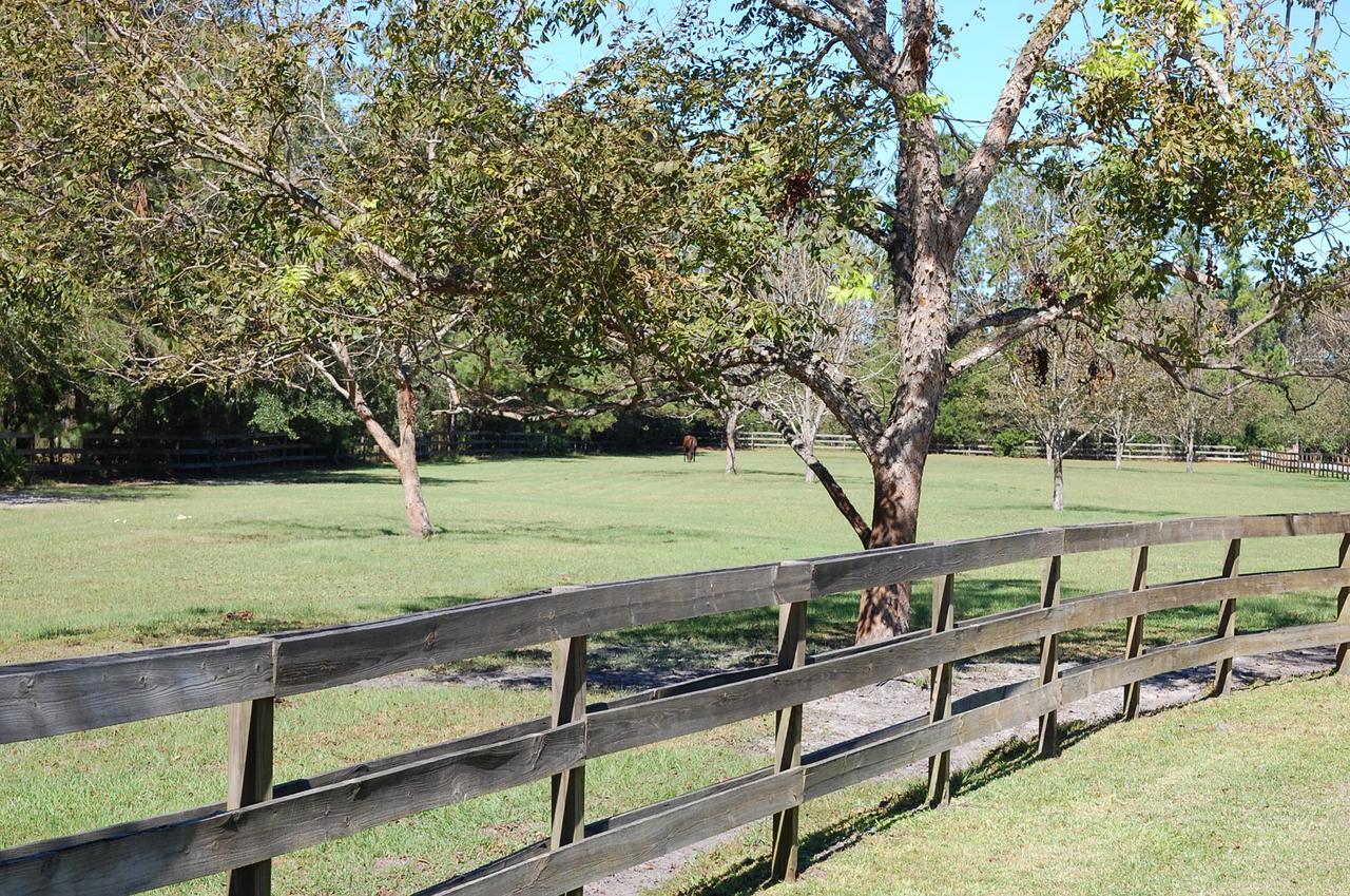 Horse Stamp Inn Waverly Luaran gambar